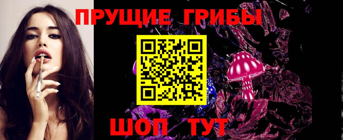 Псилоцибиновые грибы Psilocybe  Вход с VPN  Псилоцибиновые грибы Psilocybine cubensis  Удомля 