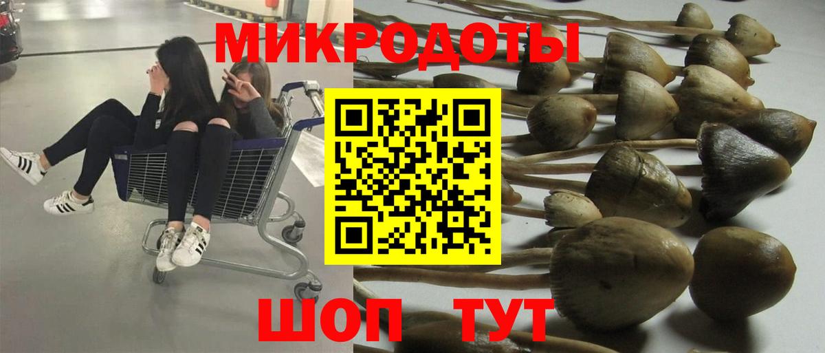 Псилоцибиновые грибы GOLDEN TEACHER Удомля